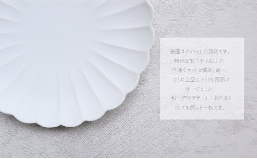 【デザート皿にも！かわいい和食器】有田焼 菊割銘々皿 sil