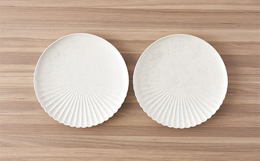 有田焼 白泡化粧ハーフ菊割皿（19cm 2枚） 深海三龍堂 菊花 