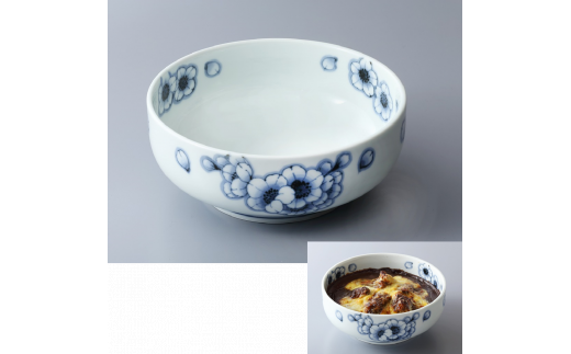 佐賀有田窯元6選×有田焼カレーうつわ付き【定期便全3回】