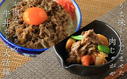 佐賀牛 切り落とし460g【旨味豊富なブランド牛！煮物から炒