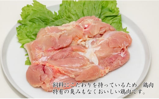 【6回定期便 総計10.8kg】 ありたどり もも肉 約1.8kg (300g×6枚)