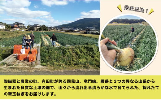 【2025年11月より発送】農家直送！サトちゃん農園のクリス