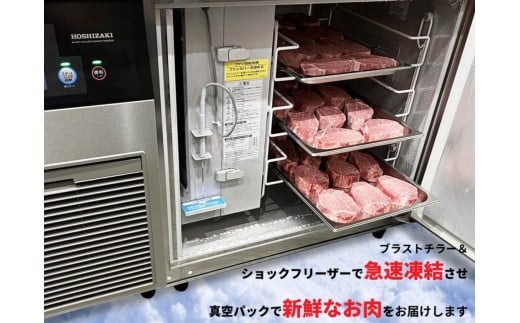 10ヶ月連続「定期便」佐賀牛 シャトーブリアン（200g×5枚）