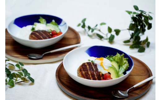 深川製磁 【有田焼】ＩＲＯＨＡ  ペアめん鉢 A50-109