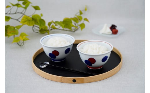 深川製磁 【有田焼】丸紋（赤・呉須）組飯碗 A45-79
