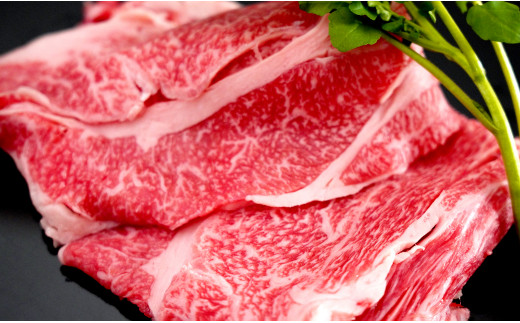 【12/1までの決済完了で年内発送】感謝を込めて 佐賀牛うで