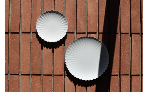 1616/ Palace Plate 160 & 220 セット【1616/arita japan】有田焼 食器 器