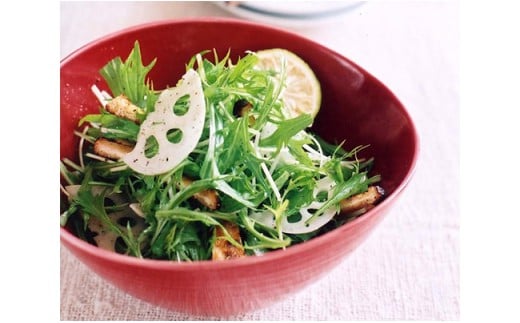 有田焼 赤釉 なぶり鉢セット ARITA PORCELAIN LAB【アリタポーセ