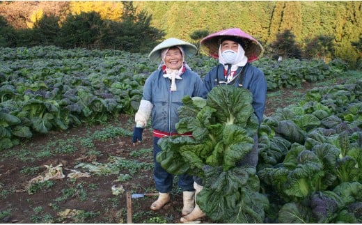 【12回定期便】高菜乃華4個入りセット 高菜漬一筋-前田食品