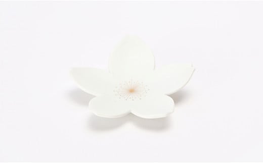 有田焼 white × gold 6点セット【丸兄商社】食器 器 うつわ 陶