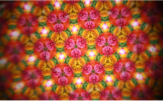 有田焼 万華鏡 香蘭社「ふくろう(しろ）」ペンダント アク