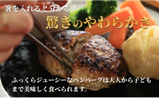 【12/21迄の決済完了で年内発送】佐賀の肉汁ハンバーグ 150g