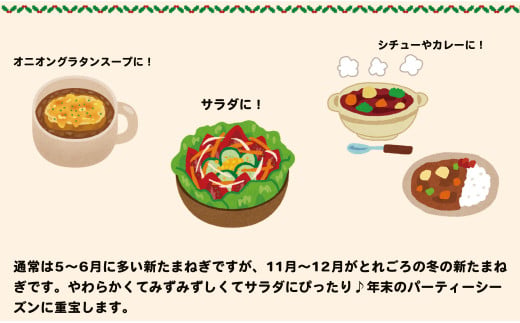 【2025年11月より発送】農家直送！サトちゃん農園のクリス