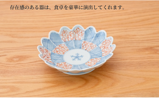 【田中里奈さんおすすめ！】有田焼 文青 市松花弁紋 菊形6.