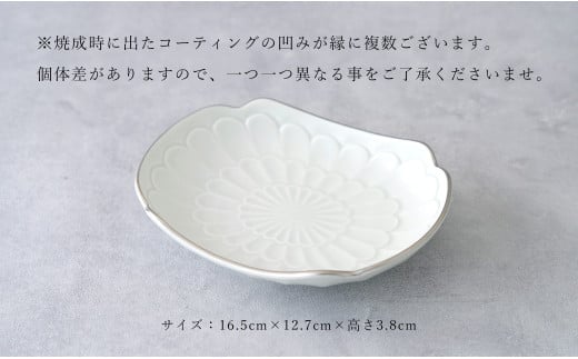 【アウトレット 訳アリ】有田焼 渕プラチナ 楕円皿 2枚 セ