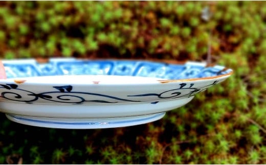 有田焼 渕錆藍椿縁紋様図 24cm 皿 ～華一園シリーズ～【西山