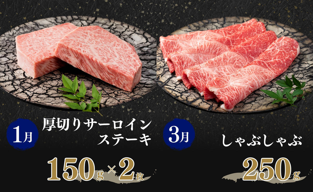 【ANA限定】奇数月が楽しみ！ 佐賀牛定期便 第2弾 バラエテ