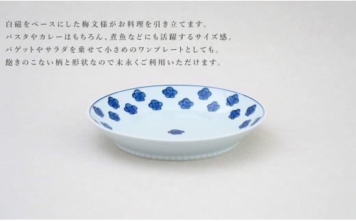 【宇賀なつみさんおすすめ！】有田焼 染付梅散し 深皿【源