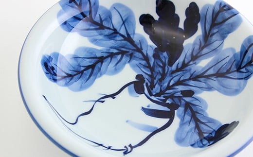 源右衛門窯 染付根菜図 器 食器 皿 カレー皿 根菜 有田焼 A11