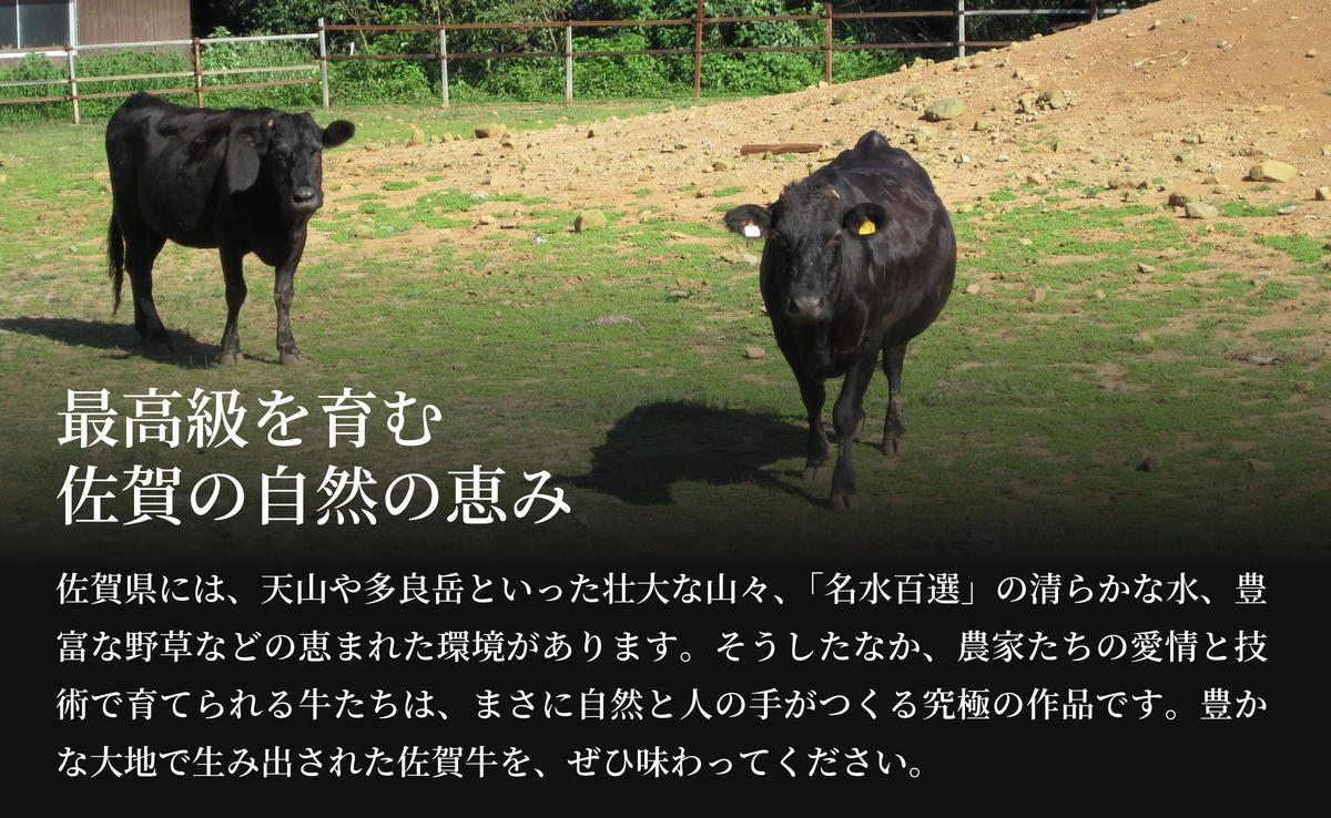 佐賀牛モモステーキ200g×2枚【赤身が美味しい】牛肉 黒毛和