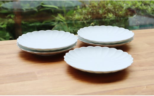 【デザート皿にも！かわいい和食器】有田焼 菊割銘々皿 sil