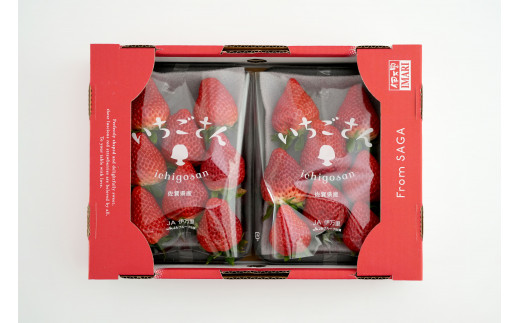 【眺めてうっとり、かじって甘い！】JAの「いちごさん」240
