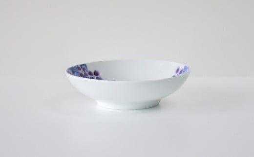 有田焼 紫陽花 中皿2枚セット 辻聡彦 聡窯 A50-170