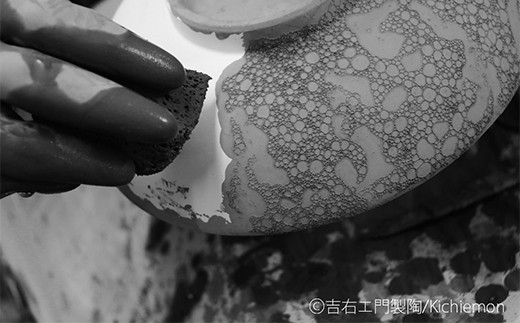 有田焼 白泡化粧ハーフ菊割皿（19cm 2枚） 深海三龍堂 菊花 