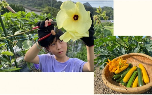 大吉村 ピザ作り+アグリ体験チケット 3名様 V55-2