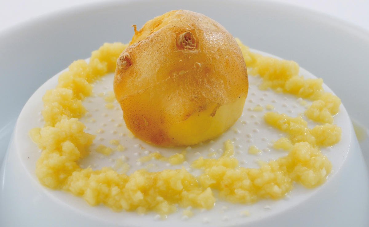 【コンパクトで多機能】SITAKU ５点セット【KIHARA】有田焼 蓋