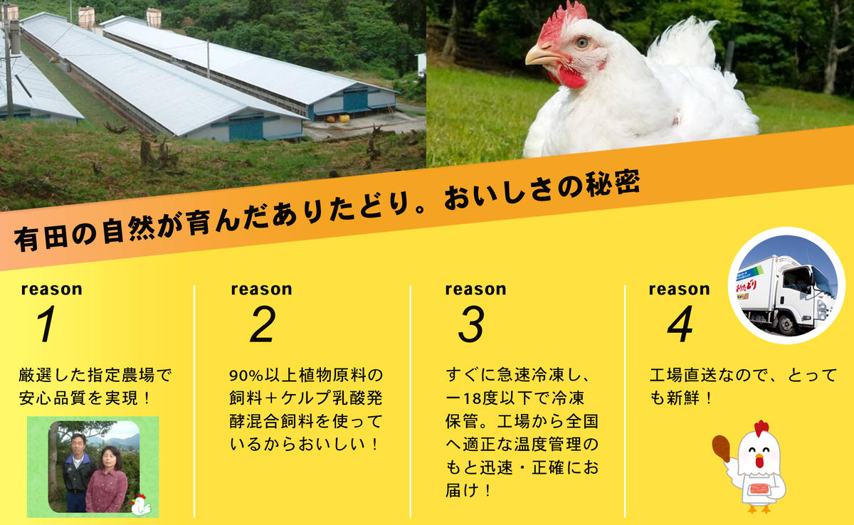 【6回定期便 総計14.4kg】 ありたどり 熟成むね肉 計2.4kg (300g