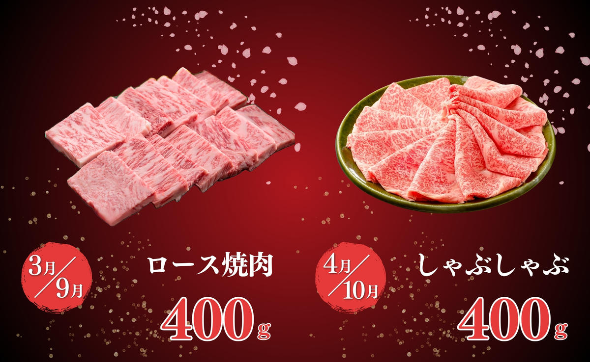 毎月決まった時に届く！花金 定期便 佐賀牛3～4人前をお届