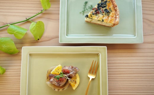 金善製陶所 21cm リム長角プレート 黄磁・天龍青磁 2枚 セッ