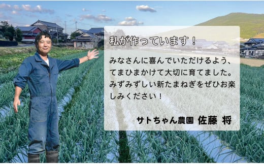 【2025年11月より発送】農家直送！サトちゃん農園のクリス