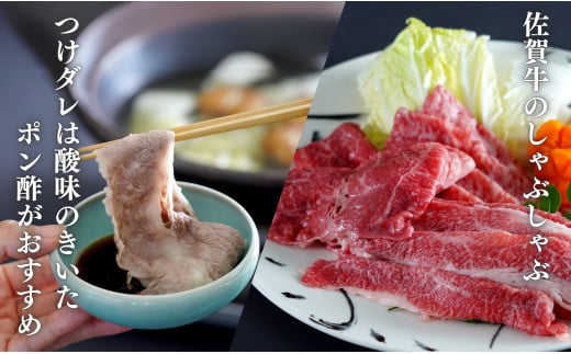 佐賀牛を食べ比べ！ スライス3種盛り 100g×3種【ロース、モ