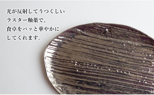 【メイン料理からデザートプレートまで】有田焼 21cm 木目