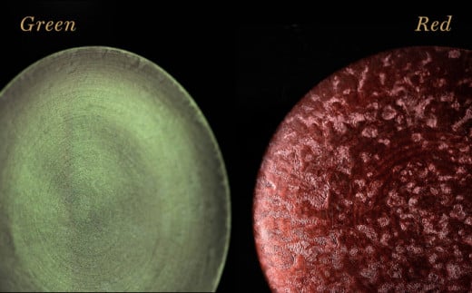 【煌めきの一枚が特別を演出】有田焼 麟 Lin 15.5cm 小皿 6枚