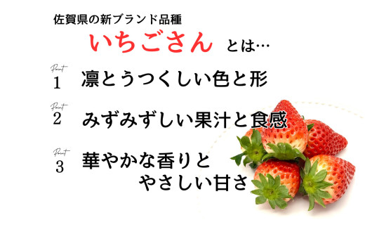 ＜予約受付＞【3回定期便】有田いちご 朝摘み完熟いちご4