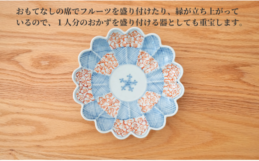 【田中里奈さんおすすめ！】有田焼 文青 市松花弁紋 菊形6.