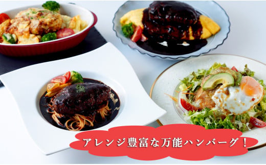 幸せ有っ田け！4種のふわふわ煮込みハンバーグ 230g×4個セ