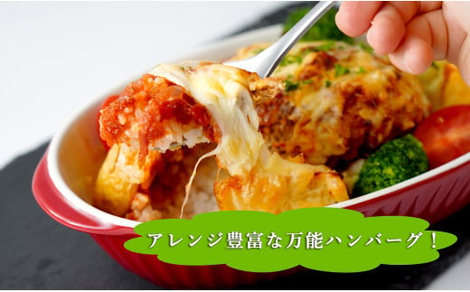 幸せ有っ田け！トマトソースふわふわ煮込みハンバーグ 230g