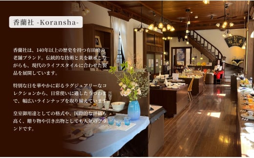 磁器のふるさとで、地元ガイドから学ぶ街歩きツアー 有田