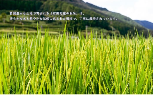 【令和7年度 新米】【1分づき米】頑固米屋のこだわり米 夢