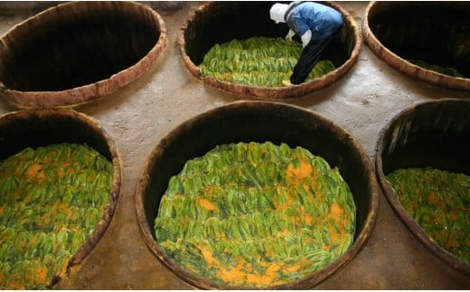 高菜漬 3種 食べ比べ セット 6パック 高菜漬一筋 【前田食品