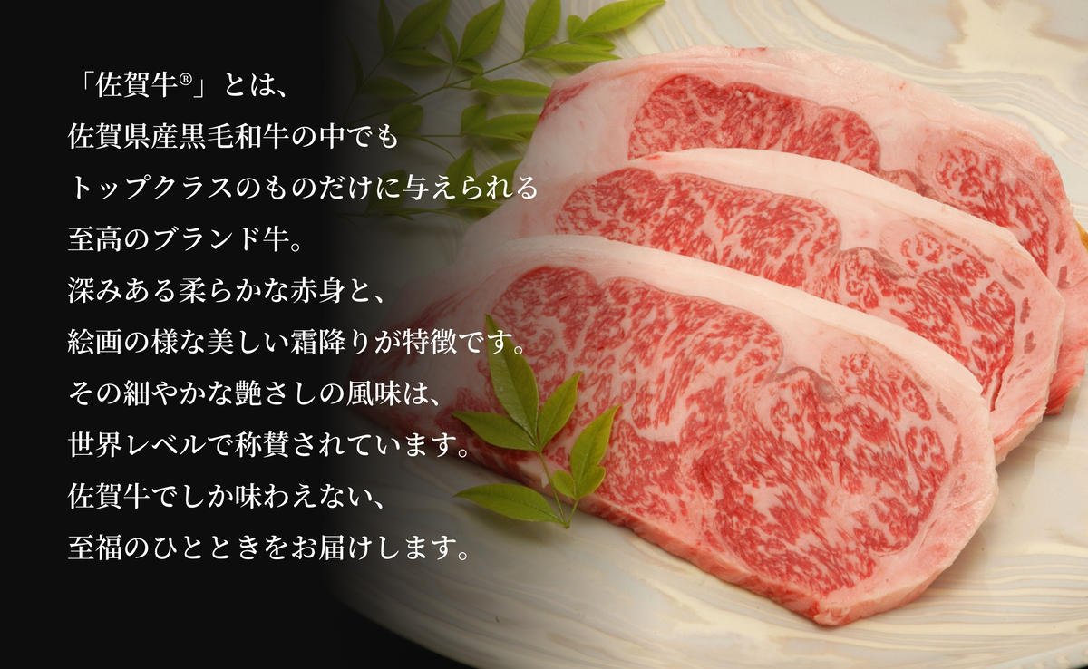 【12/14迄の決済完了で年内発送】【人気急上昇！ヘルシーな