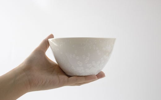 有田焼 ボウル(大) 白天目 真右エ門窯【スチームシップ】食