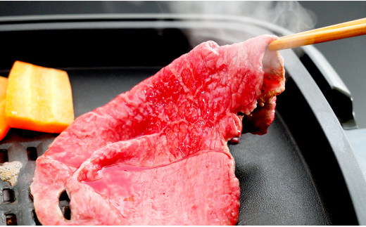 【12/1までの決済完了で年内発送】感謝を込めて 佐賀牛モモ