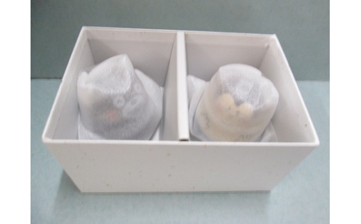 アリコ起き上がりこぼしお相撲さん・くまモンセット 有田