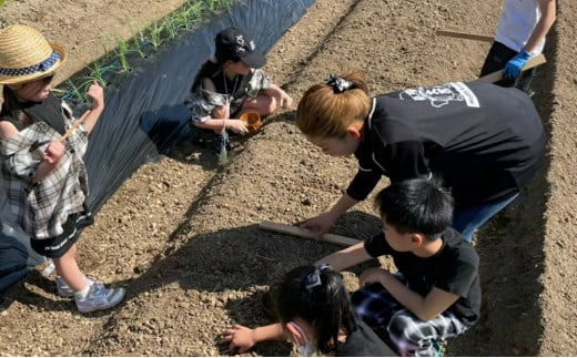 大吉村 ピザ作り+アグリ体験チケット 5名様 V90-1