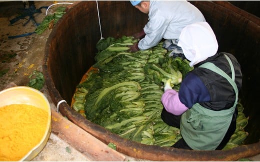 【12回定期便】高菜乃華4個入りセット 高菜漬一筋-前田食品